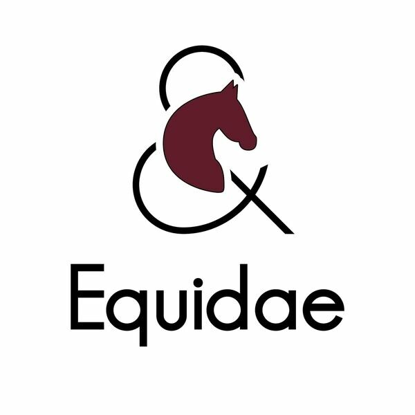 Equidae