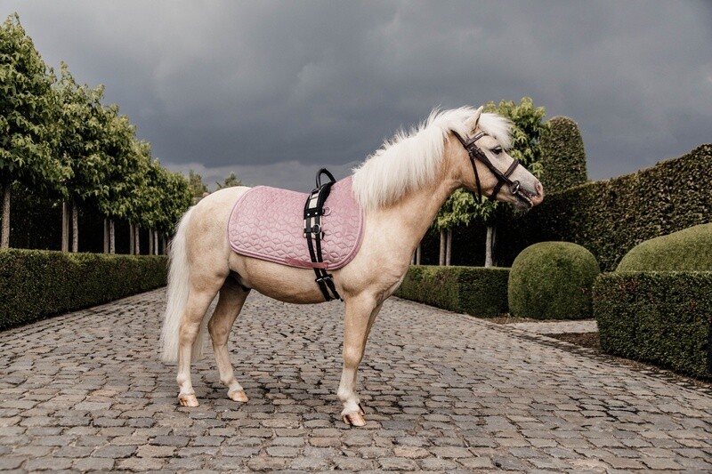 Kentucky Horsewear - Tapis Velvet poney