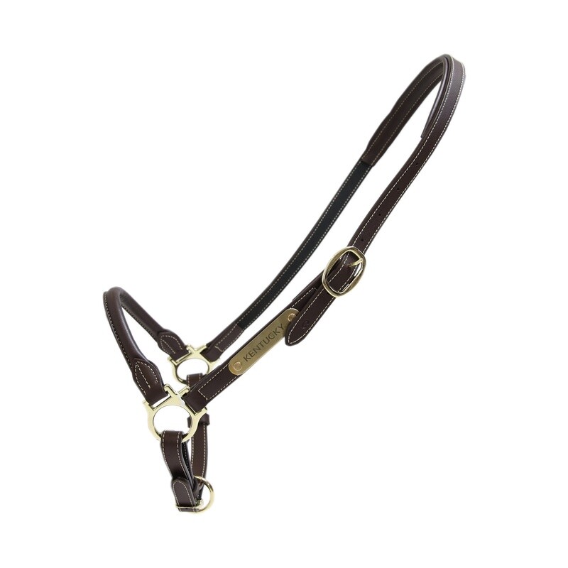 Kentucky Horsewear - Licol de pansage