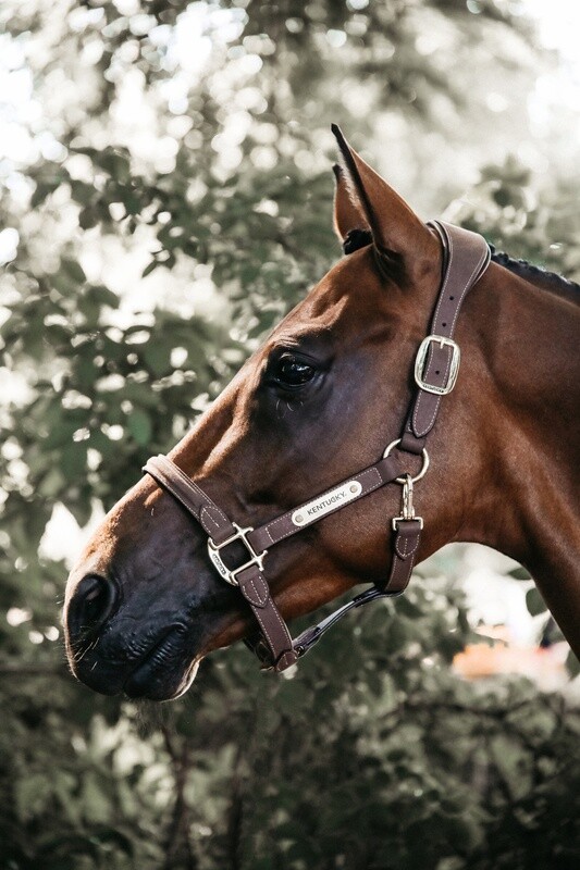 Kentucky Horsewear - Licol anatomique en suédine