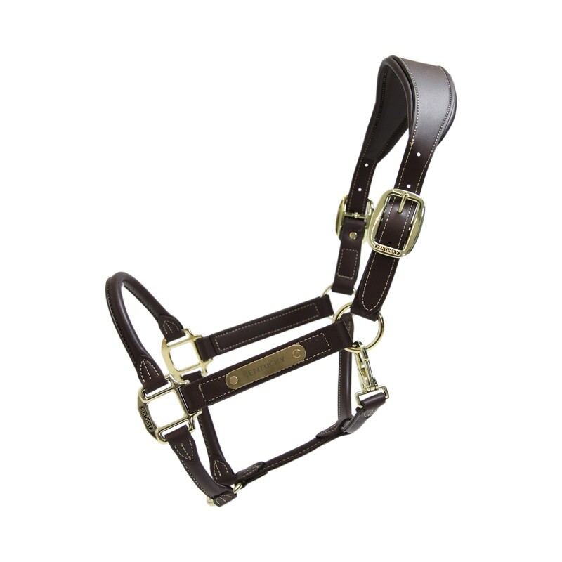 Kentucky Horsewear - Licol anatomique en cuir