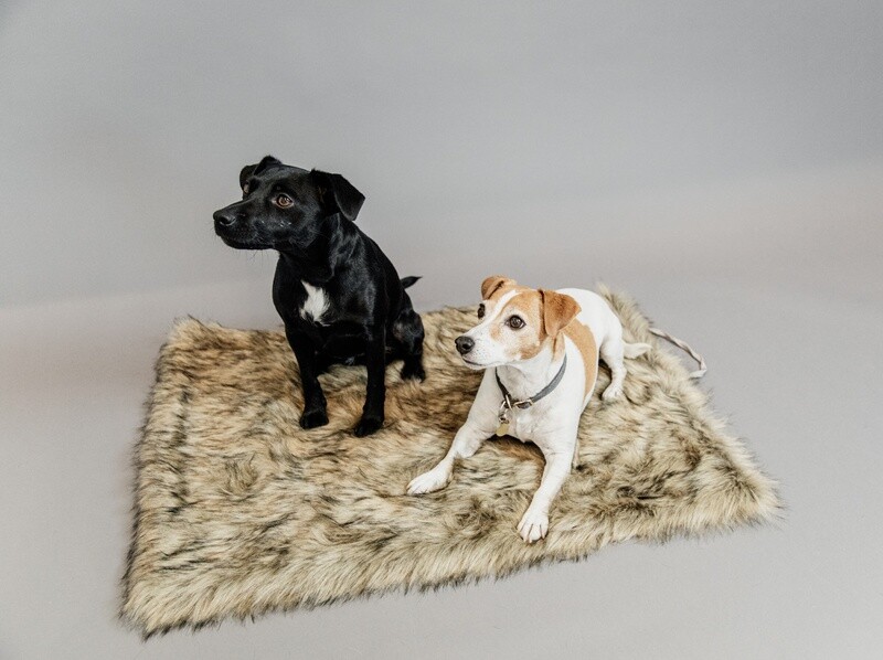 Kentucky Dogwear - Couverture pour chien Fuzzy Blanket To Go