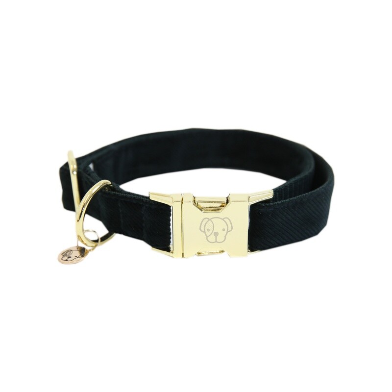 Kentucky Dogwear - Collier Corduroy