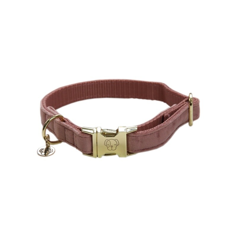 Kentucky Dogwear - Collier Velvet