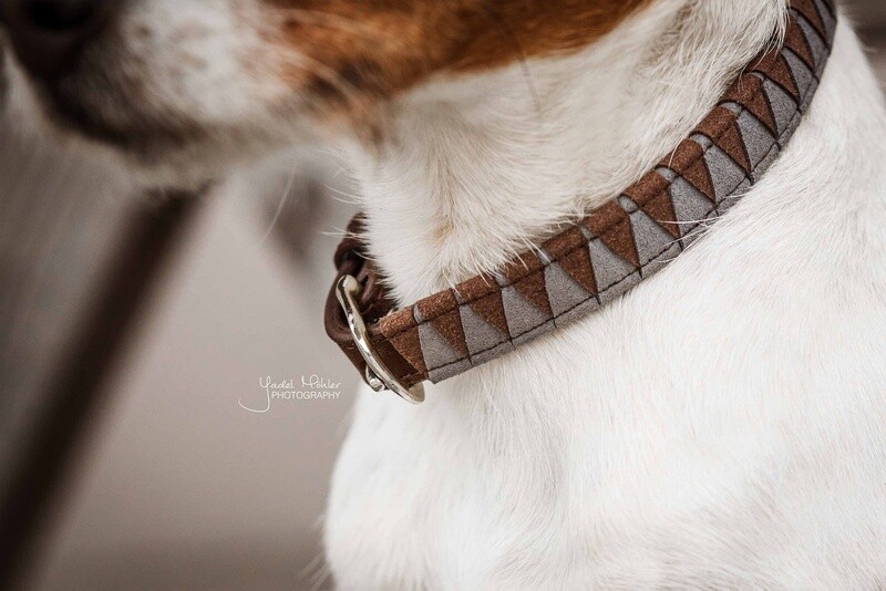 Kentucky Dogwear - Collier Triangle