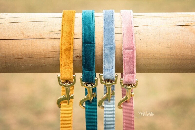 Kentucky Dogwear - Laisse Velvet