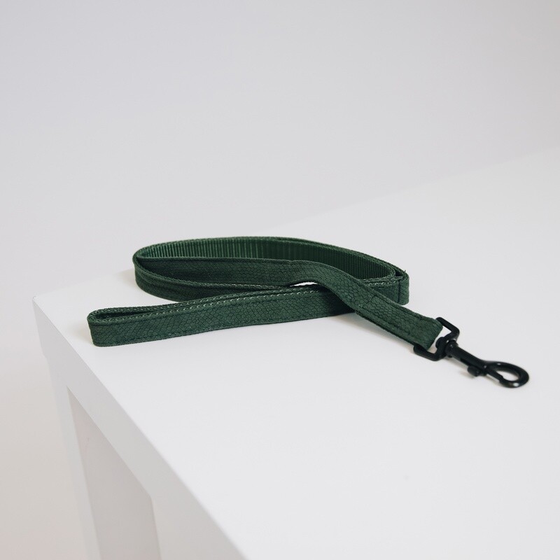 Kentucky Dogwear - Laisse Lizard