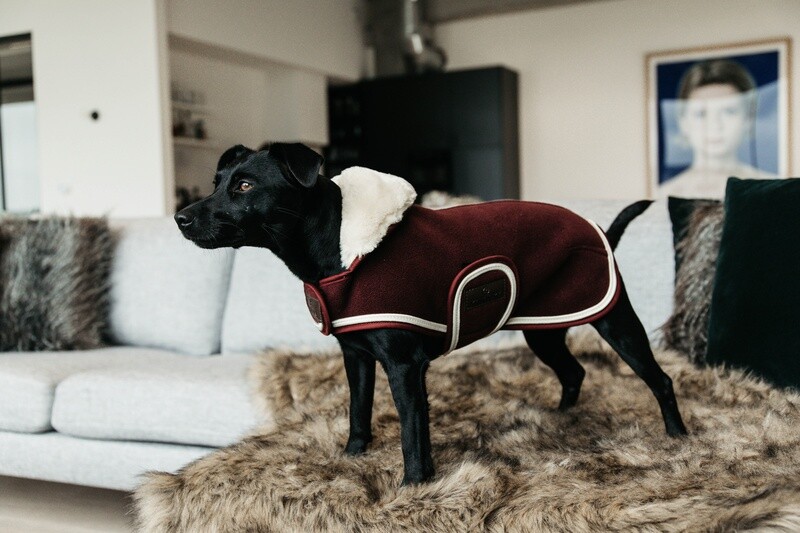 Kentucky Dogwear - Manteau Heavy Fleece