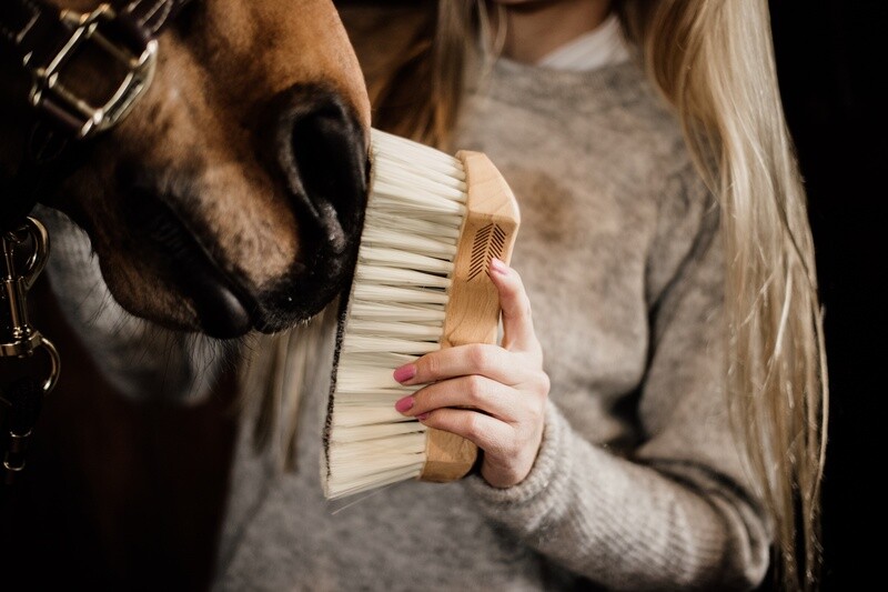 Grooming Deluxe - Bouchons à poils doux
