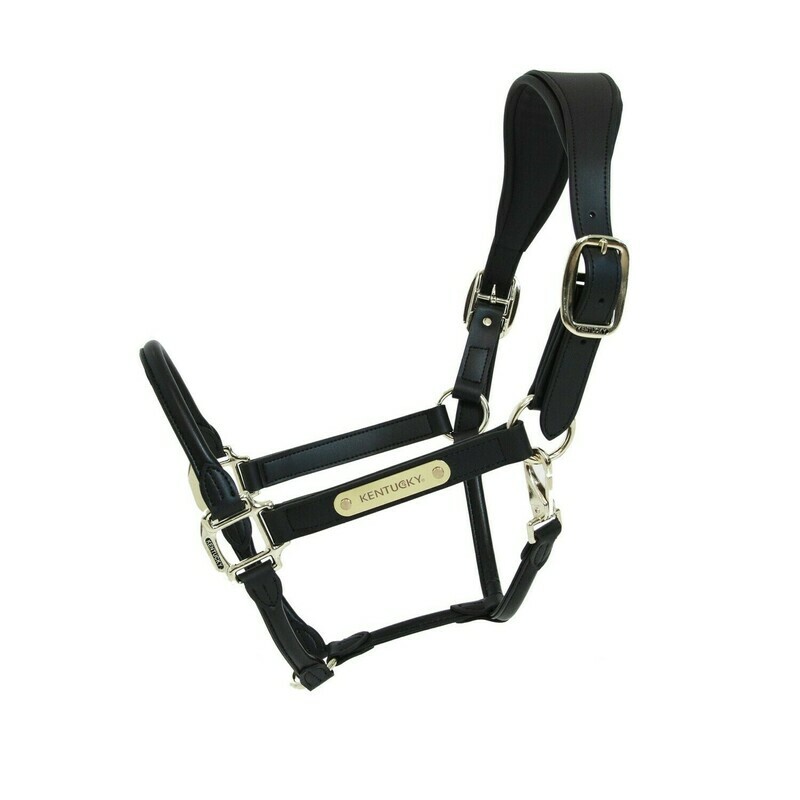 Kentucky Horsewear - Licol anatomique en cuir