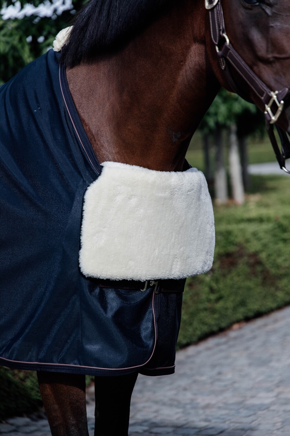 Kentucky Horsewear - Horse Bib protection poitrail