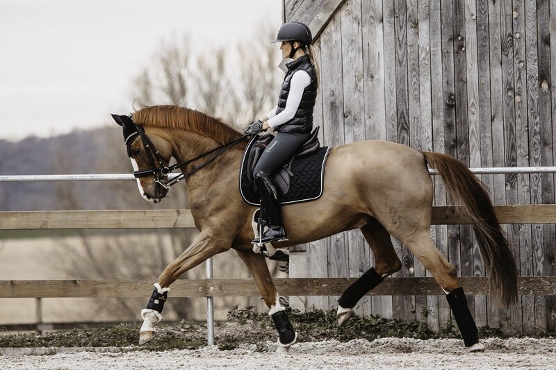 Kentucky Horsewear - Tapis de dressage