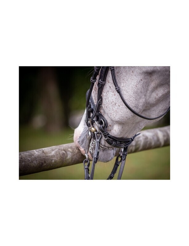 Jump'in - Bride de dressage vernie