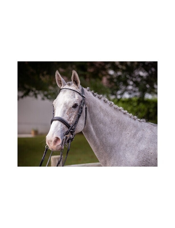 Jump&#39;in - Bride de dressage vernie