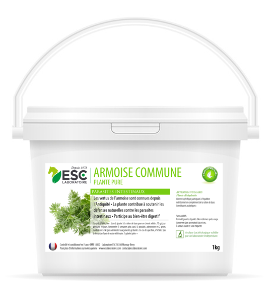 ESC Laboratoire - Armoise commune