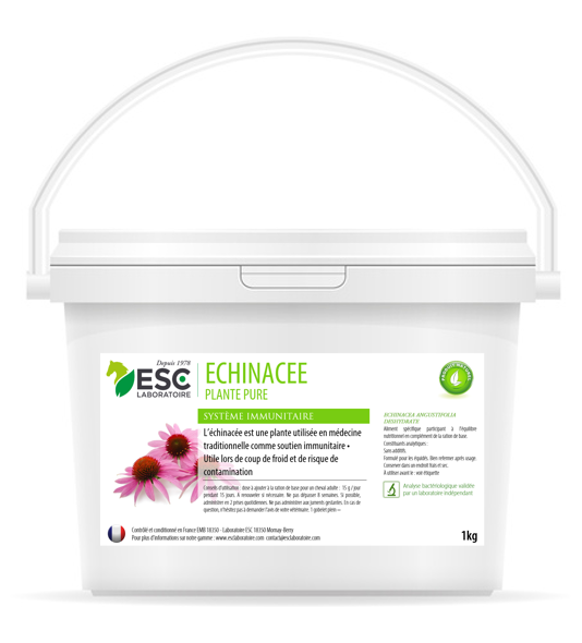 ESC Laboratoire - Echinacée ESC Laboratoire - Echinacée