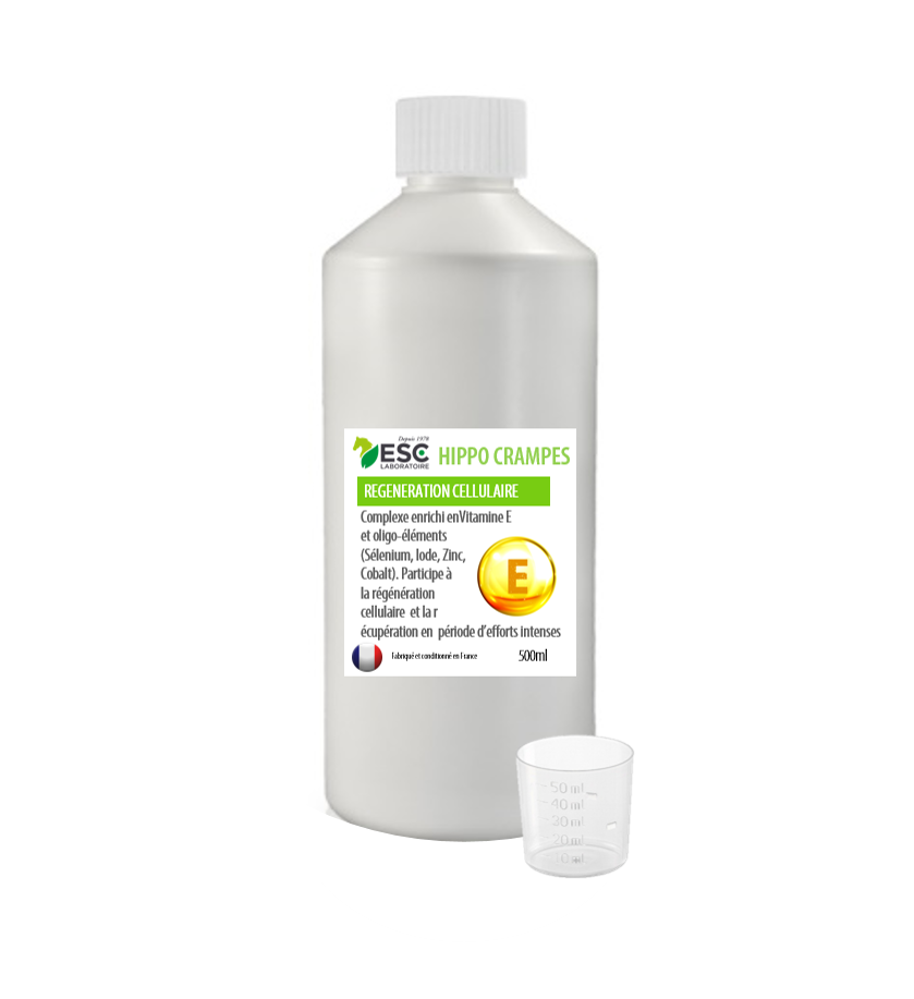 ESC Laboratoire - Hippocrampes