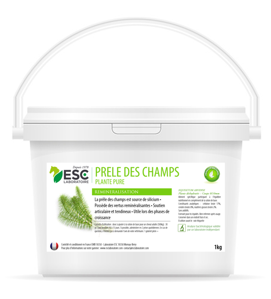 ESC Laboratoire - Prêle des champs ESC Laboratoire - Prêle des champs