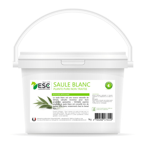 ESC Laboratoire - Saule blanc