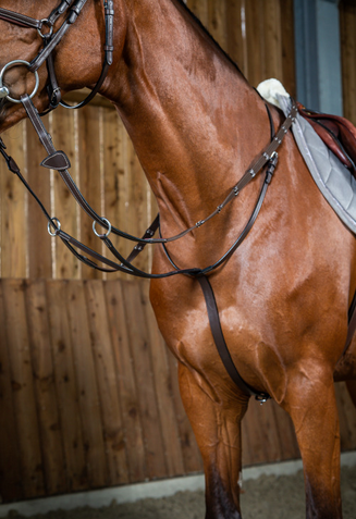 Dy&#39;on - Martingale à anneaux