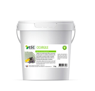 ESC Laboratoire - Cicargile