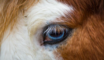 Soin des yeux
