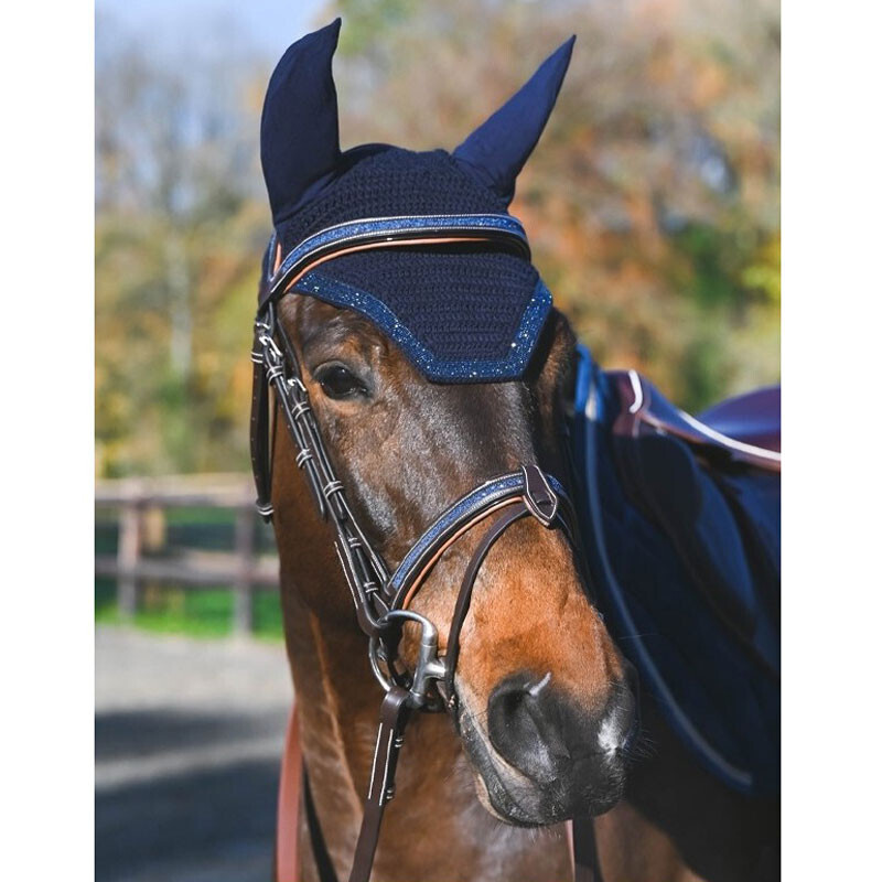 Jump'in - Bridon Carat