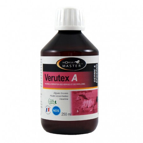 Horse Master - Verutex A