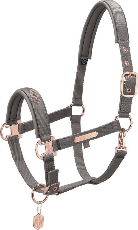 Eskadron - Licol Pin Buckle Héritage 2023