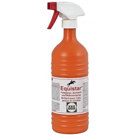 Stassek - Equistar