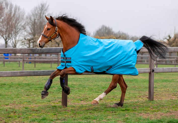 Horseware - Amigo Hero 900