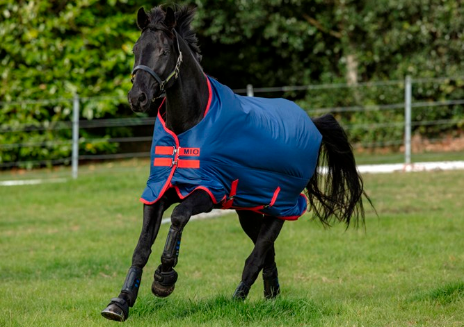 Horseware - Mio Turnout Lite 0g