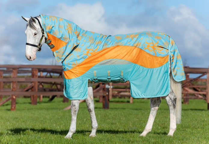 Horseware - Amigo 3in1 Evolution DT
