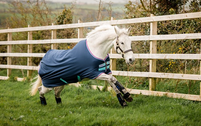 Horseware - Amigo Hero 900