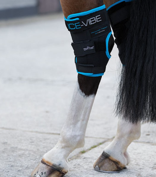 Horseware - Ice Vibe jarrets