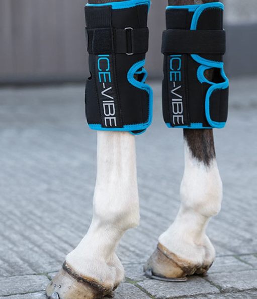Horseware - Ice Vibe Genoux