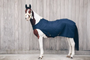 Kentucky Horsewear - Couverture de marcheur