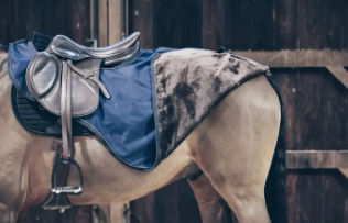 Kentucky Horsewear - Couvre reins All Weather
