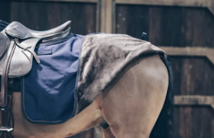 Kentucky Horsewear - Couvre reins carré All Weather