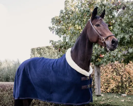 Kentucky Horsewear - Chemise séchante Show Fleece Heavy