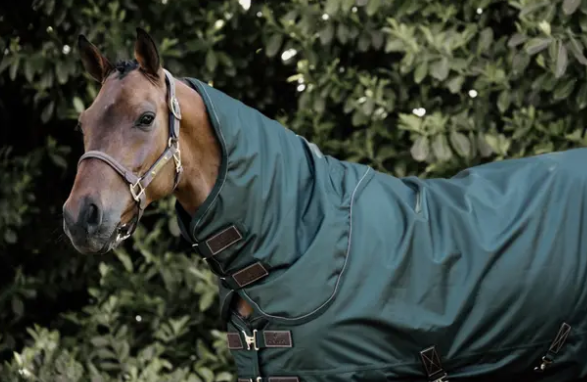 Kentucky Horsewear -Couvre-Cou All Weather Imperméable Pro 150g Kentucky Horsewear -Couvre-Cou All Weather Imperméable Pro 150g, Taille: XL, Couleur: Vert