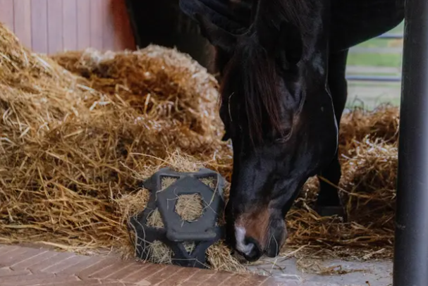 Kentucky Horsewear - Jouet Relaxant Play &amp; Hay Ball