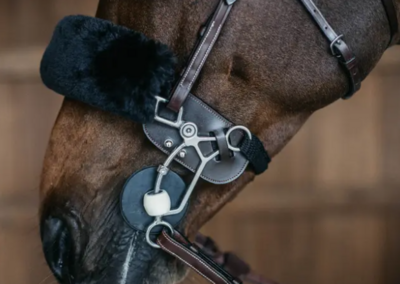 Kentucky Horsewear - Protection de hackamore