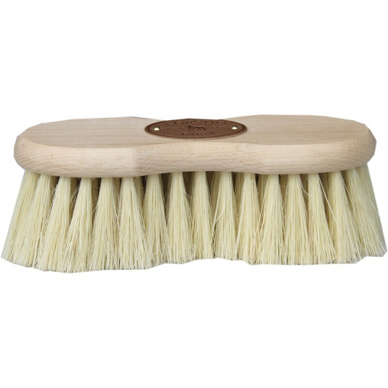 Borstiq - Brosse Cactus Infiini