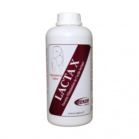 Rekor - Lacta X
