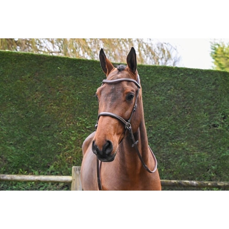 Jump&#39;in - Bridon Bitless