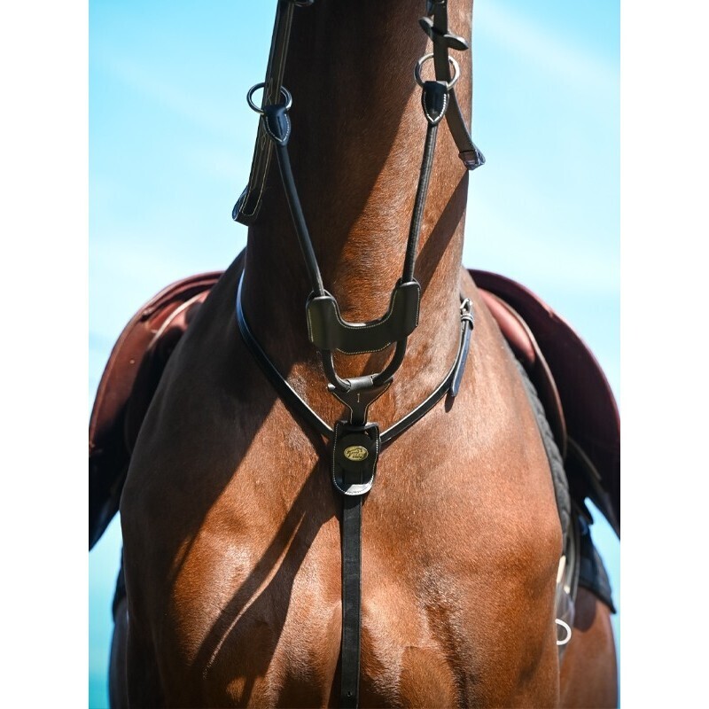 Jump&#39;in - Martingale élastique à anneaux