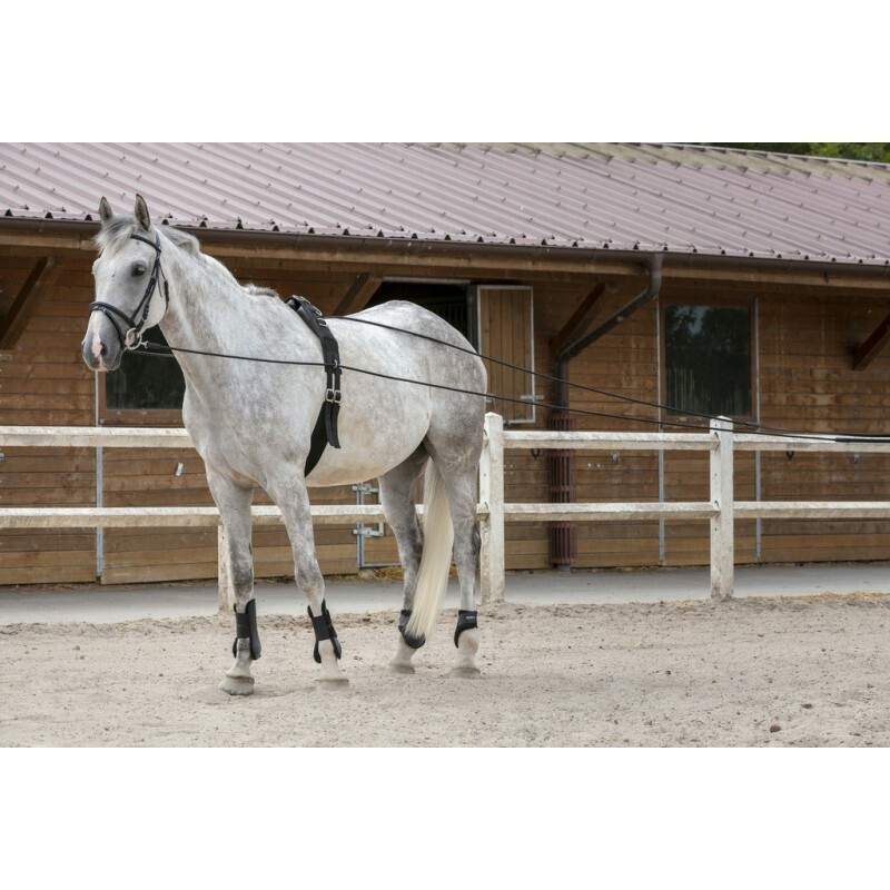 Riding World - Longues rênes cuir/corde