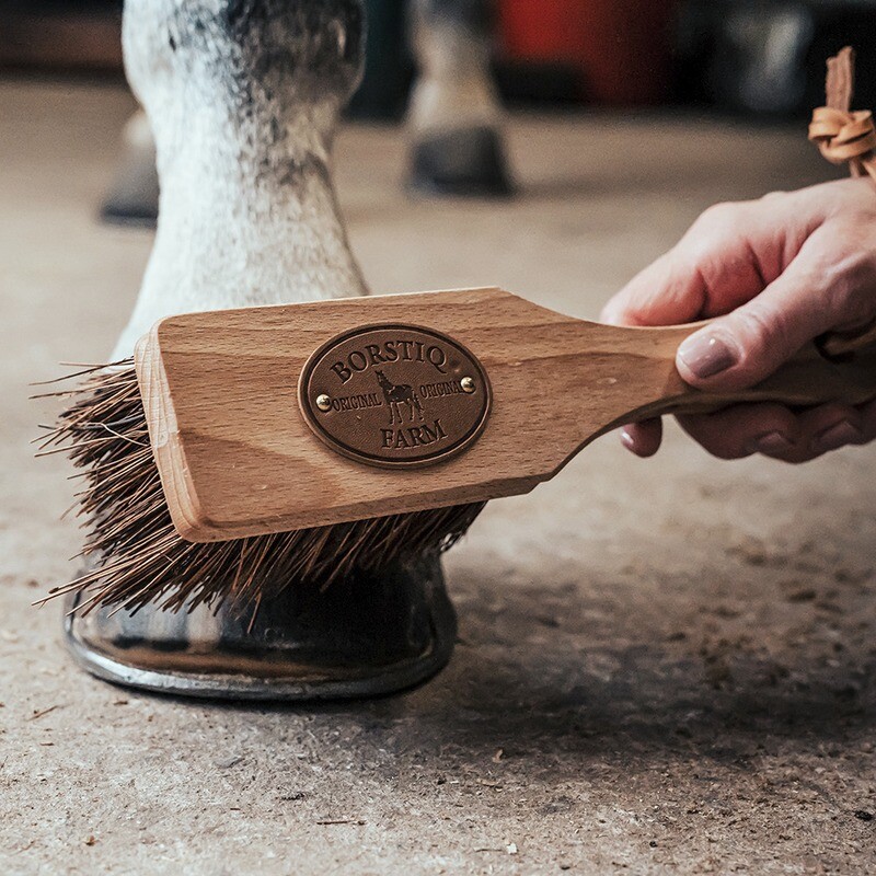 Borstiq - Brosse à sabot islandaise