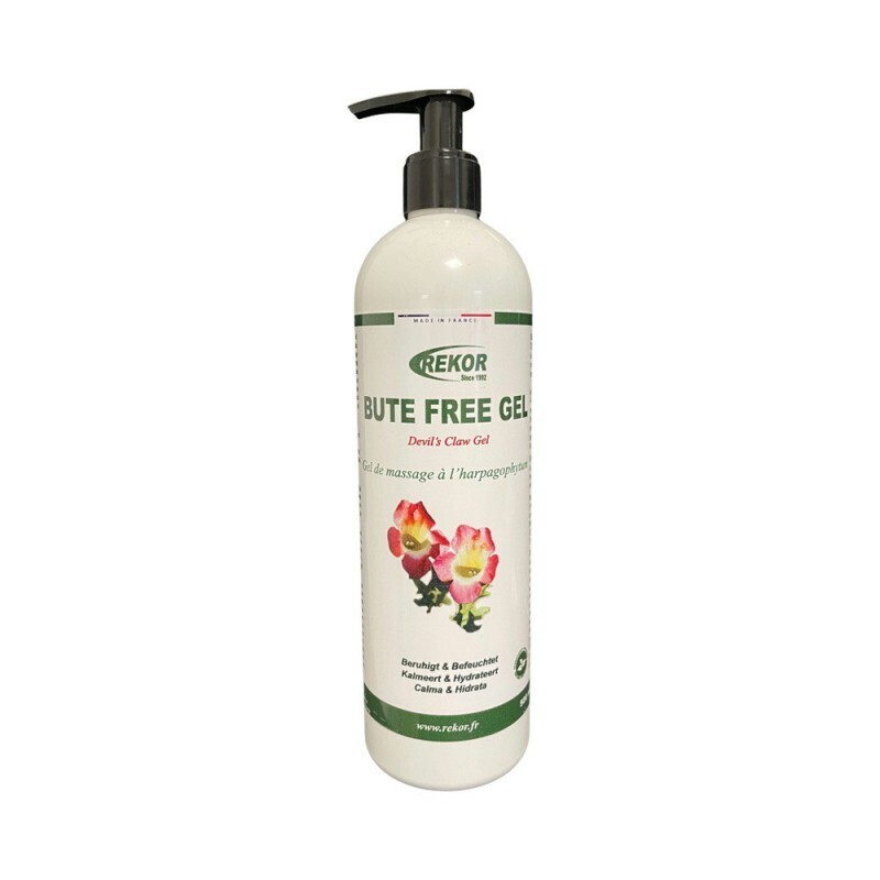 Rekor - Bute Free